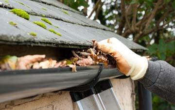 gutter cleaning Lower Odcombe, Somerset