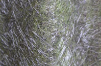 Lower Odcombe fibreglass roof work